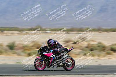 media/Apr-10-2022-SoCal Trackdays (Sun) [[f104b12566]]/Speed Shots Back Straight (930am)/